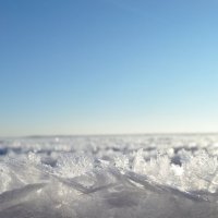 На озере Нарочь :: Оксана 