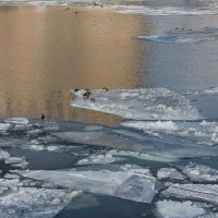 Скоро весна... :: Ирина Будагова