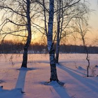 Закат :: Николай Мальцев