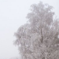 Февраль! Олег Полянский :: Олег Полянский