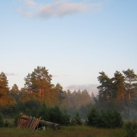 После дождя :: Людмила Быстрова