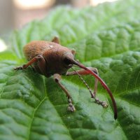 ... :: Алексей Гладышев