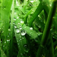 Весенний петрикор :: Димка Шерстюк Весенний петрикор :: Димка Шерстюк