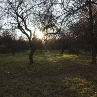 -- :: Александр Малюгин