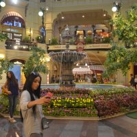 селфи :: Галина R... селфи :: Галина R...