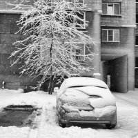 Падал снег. Новосибирск 2015 год. :: Константин Филоненко