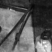 Детская сказка перед сном :: Галина Щербакова Детская сказка перед сном :: Галина Щербакова