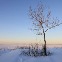 Декабрь :: Светлана Ку