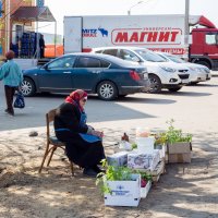 Низкие цены... :: Ирина Будагова