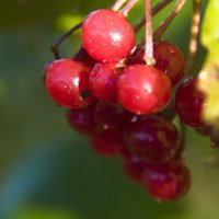 -- :: Александр Малюгин