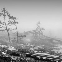 Туманные отношения :: Игорь Чубаров Туманные отношения :: Игорь Чубаров