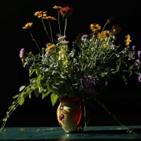 полевые цветы :: OLGA 