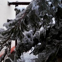 зимние сюрпризы :: Ольга Алешко