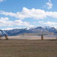 осень Горного Алтая :: Андрей Гл.