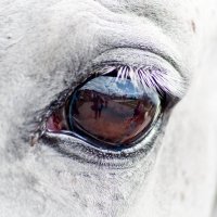 весь мир :: Ayrat 