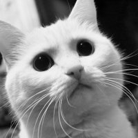 ... :: Наталья 