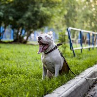 Стаф :: Павел 