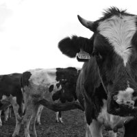 продленка :: Ольга 