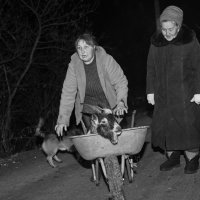 выкуп :: Ольга 