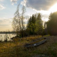 . :: Alexander Hersonski