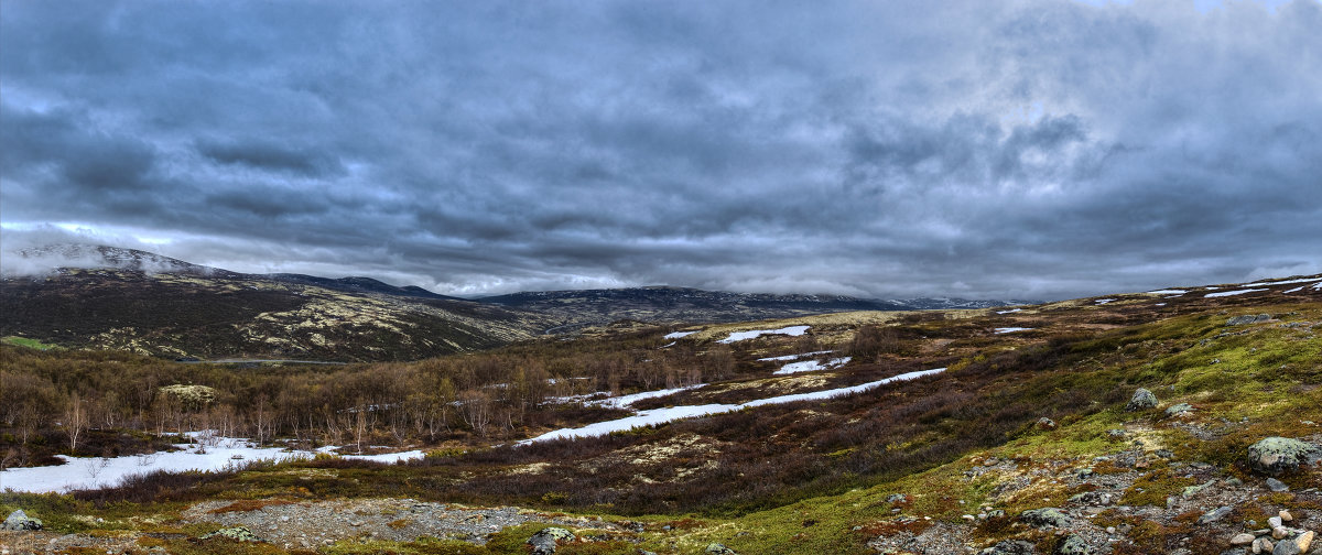 Национальный парк Dovrefjell - Алексей Свирин