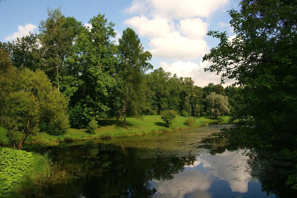 В парке - Наталия Короткова