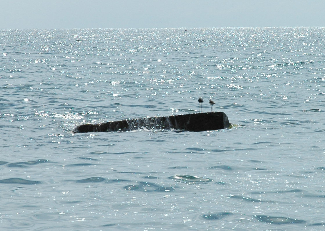 свидание на камешке - Litana *