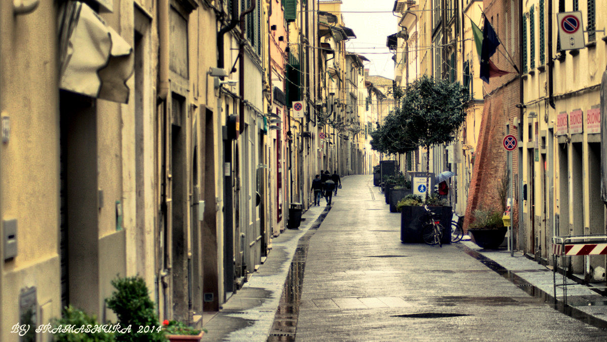 EMPOLI, TOSCANA - ira mashura