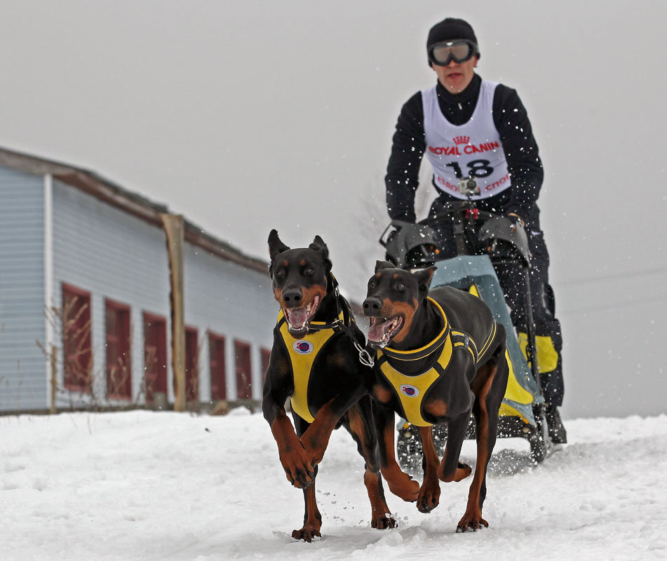* - Ольга Барташевич * - Ольга Барташевич