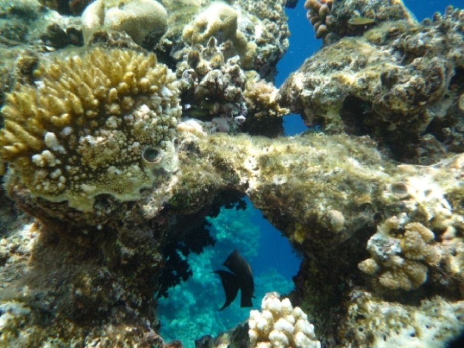 Врата владений батьки Посейдона. - Александр Борисович Панченко