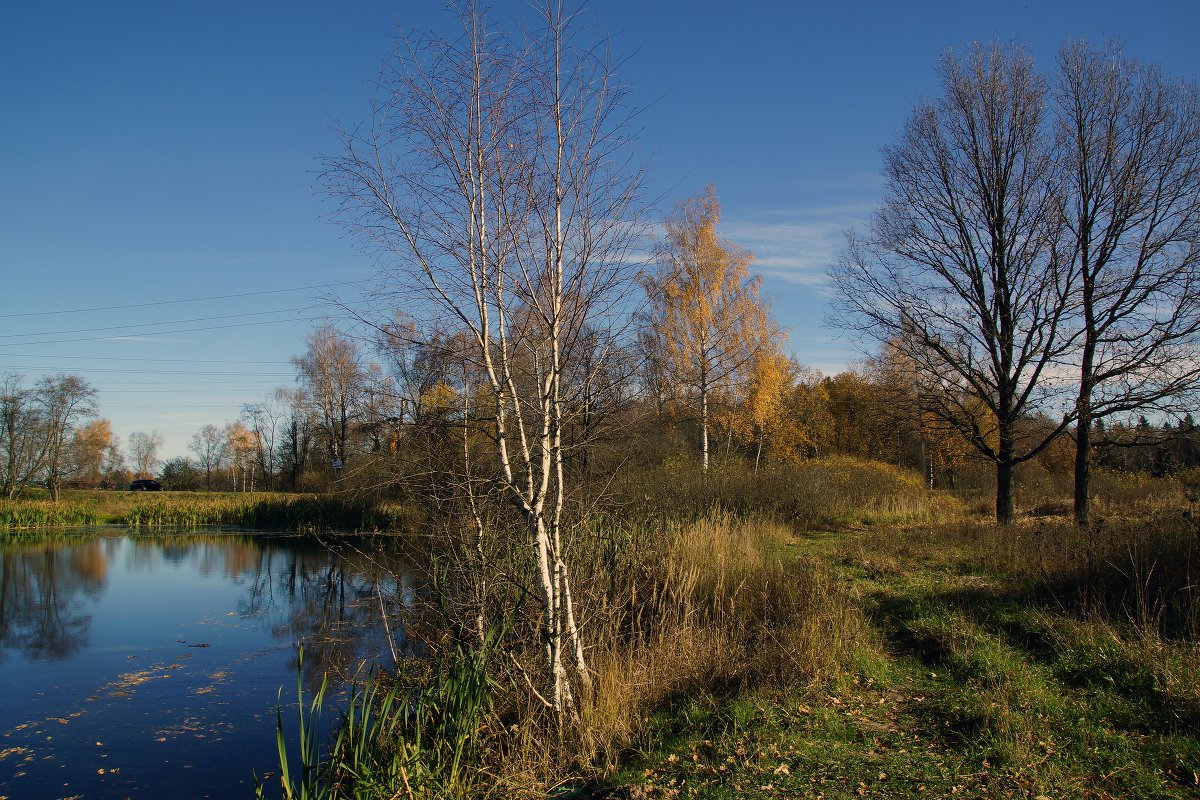 *** - Владимир Воробьев