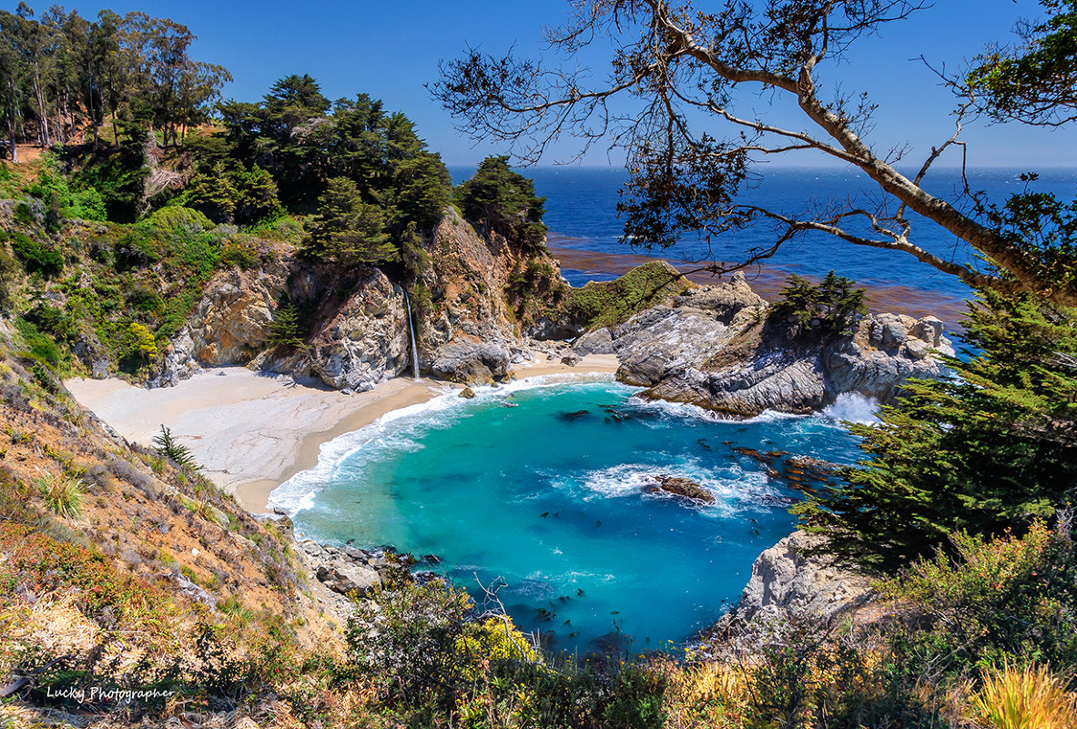 Julia Pfeifer Beach - Lucky Photographer