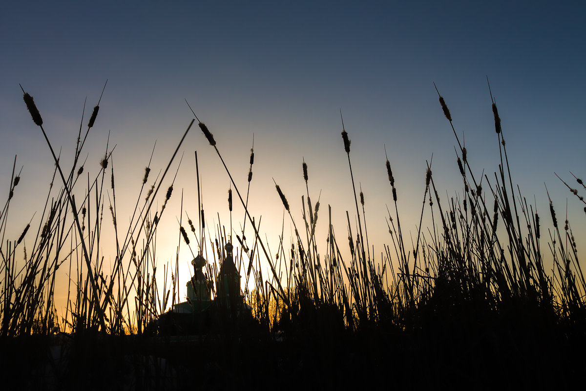 в миру... - александр макаренко в миру... - александр макаренко