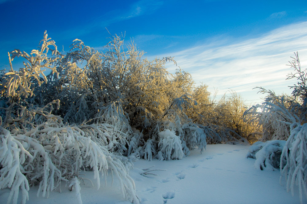 -30 по Цельсию - Денис Антонов