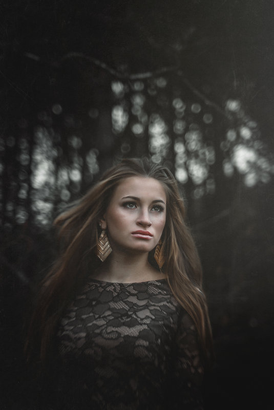 Лесная история - Владислав Гаюха Лесная история - Владислав Гаюха