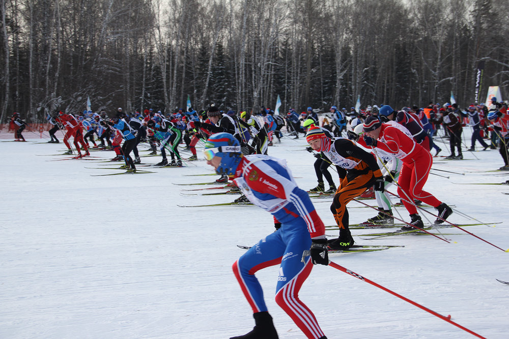 Лыжня России 2014. Новосибирск, Академгородок. - Анна Марёва