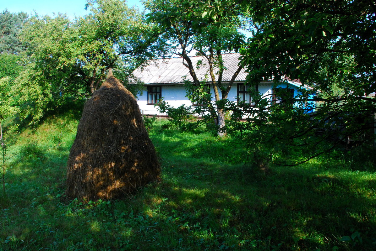 заготовка сена-1 - Богдан Вовк