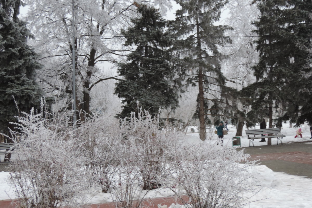 В городе зима - Ирина Дерягина