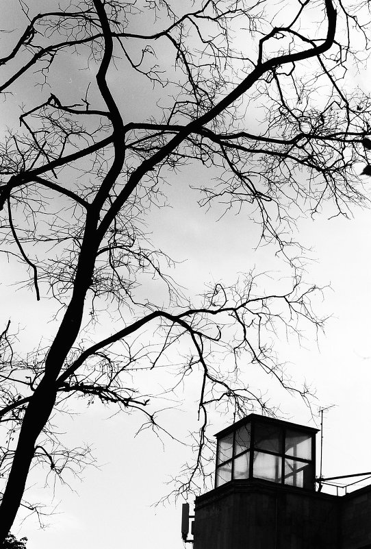 *** - Михаил Топилин *** - Михаил Топилин