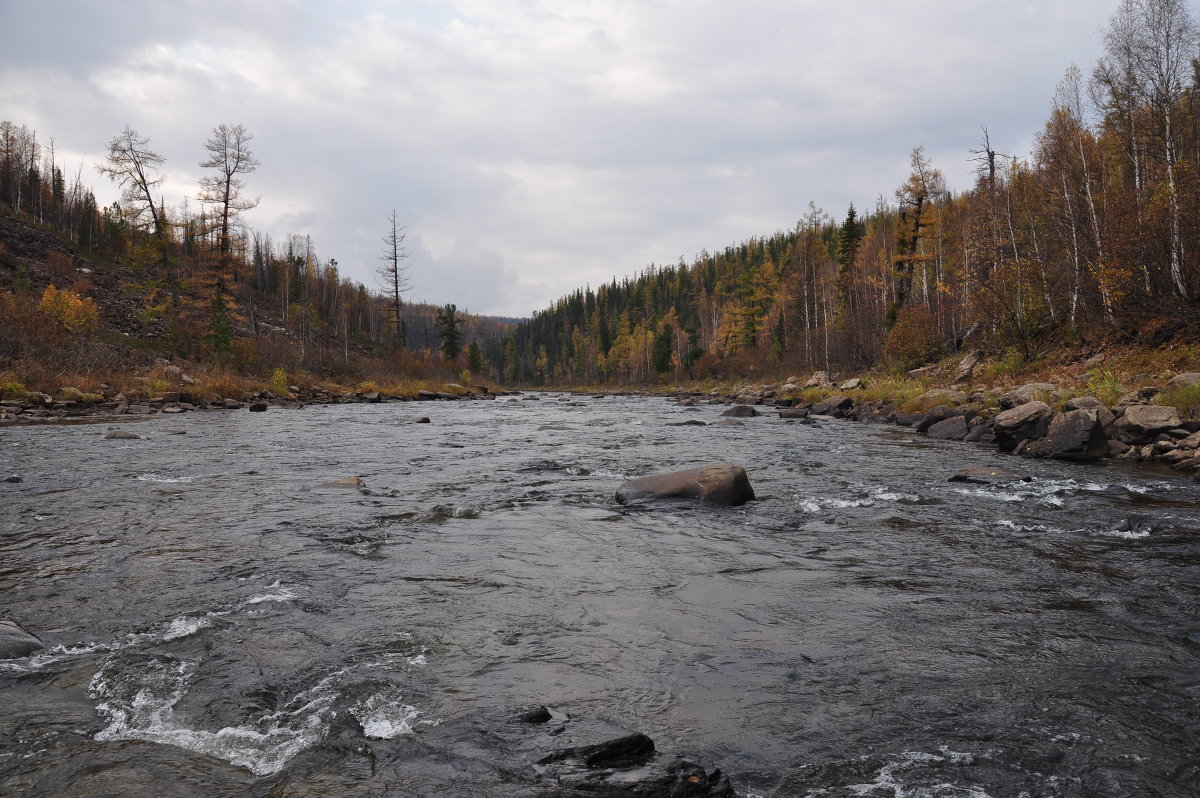 *** - Александр Хаецкий