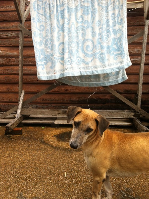 - Ну поиграй со мной,а? - Михаил Топилин - Ну поиграй со мной,а? - Михаил Топилин