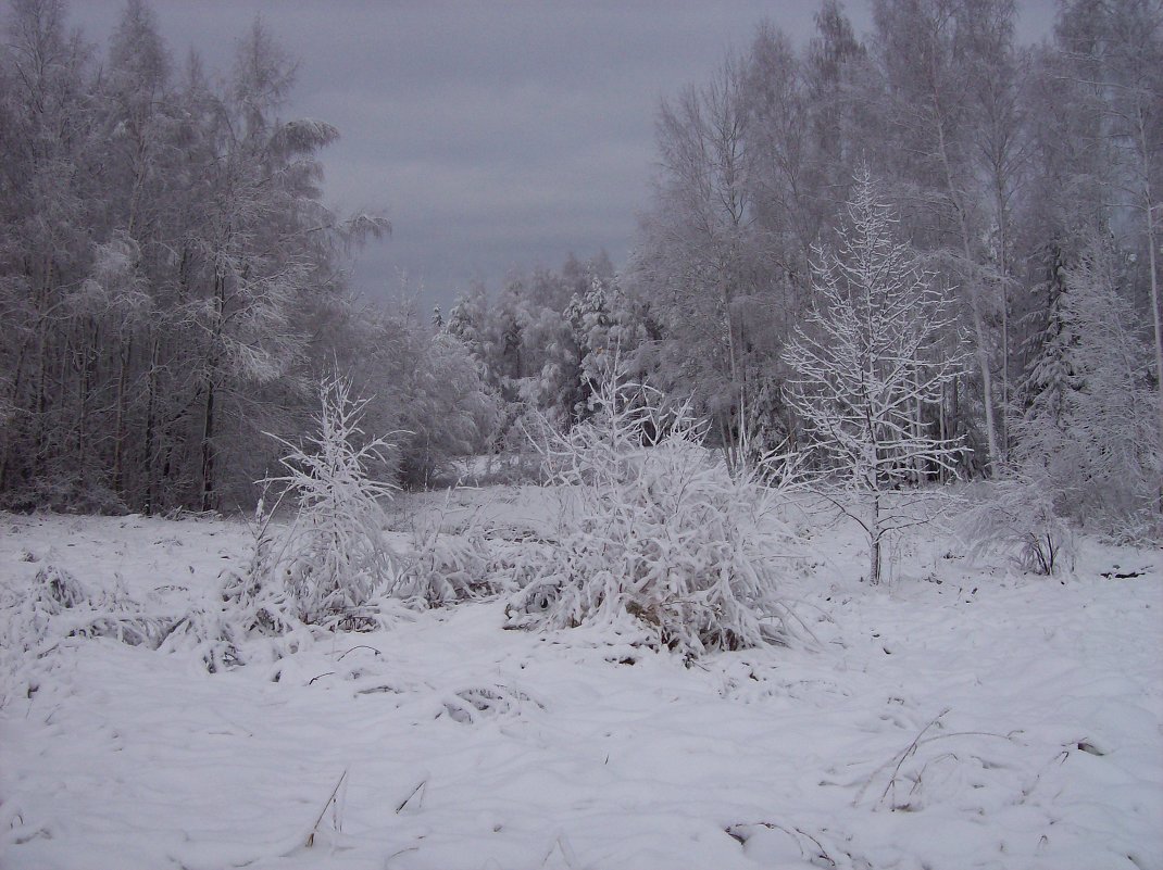 зима - зимушка - Aija ...