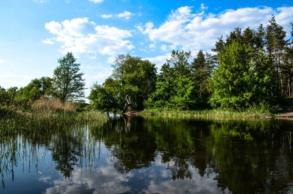 river, trees and clouds - Valentina Severinova