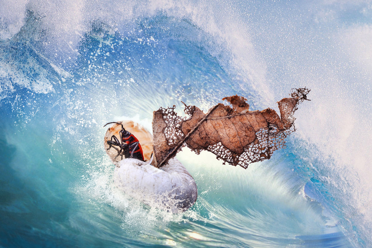 *** - Анна Чернобай *** - Анна Чернобай