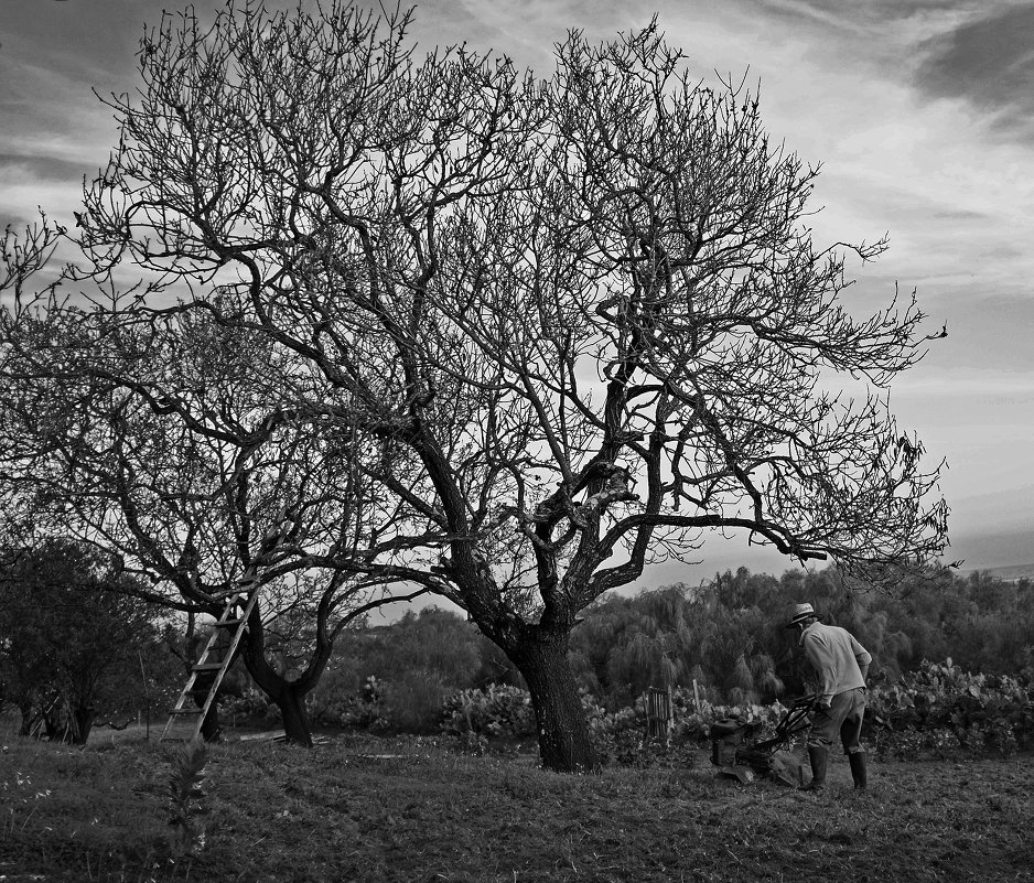 В поту лица своего добывать хлеб... - Владимир Вилзборов.