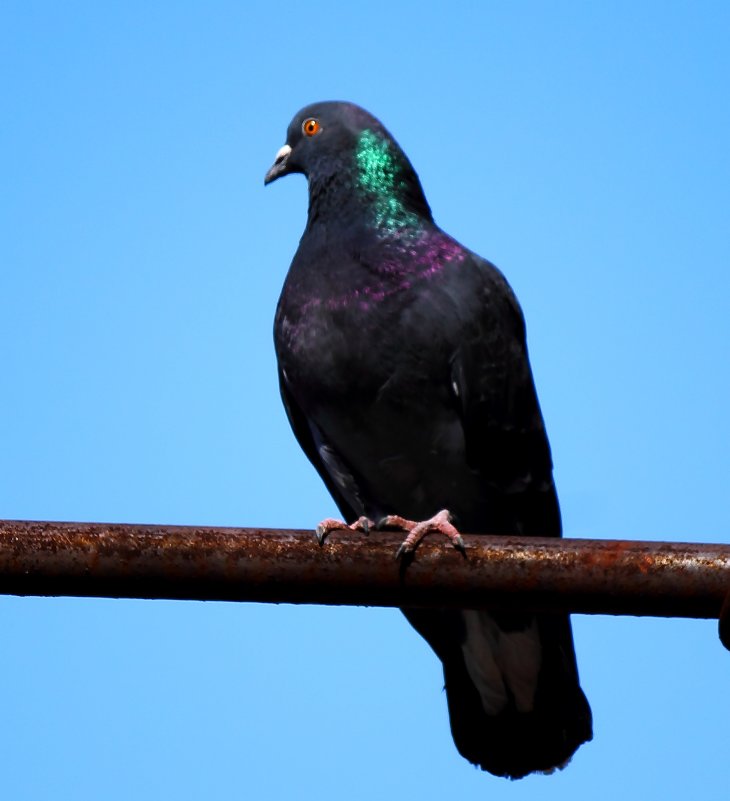 Город - Сергей Жадан