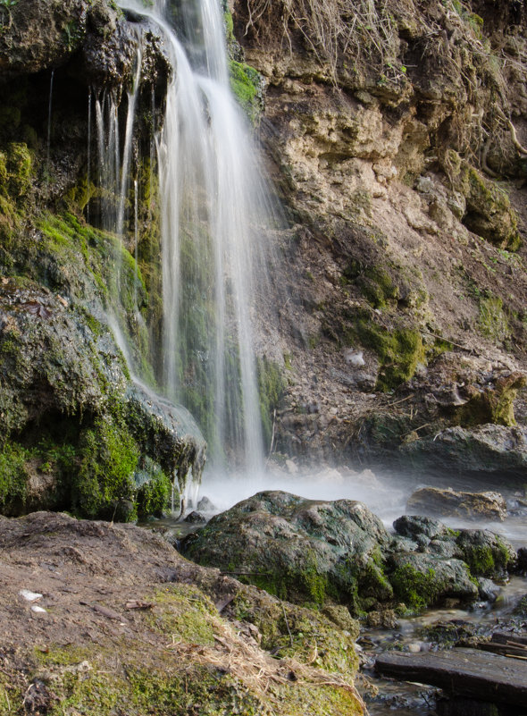 Пущино на Оке - Ольга Серебренникова