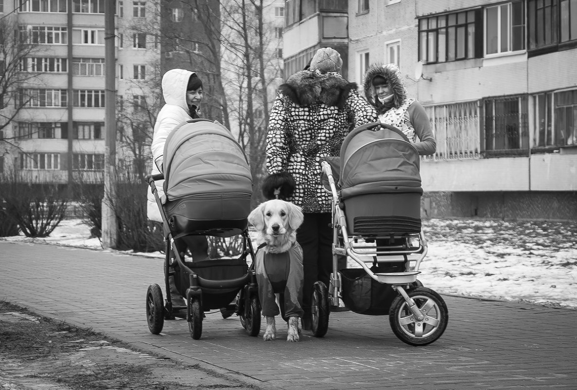 Давай фоткай, я готов - Василий Либко