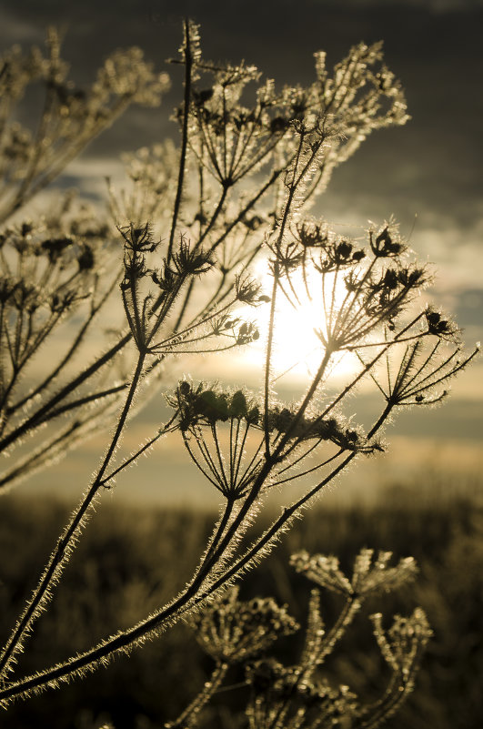 на реке Тясмин - Inna M