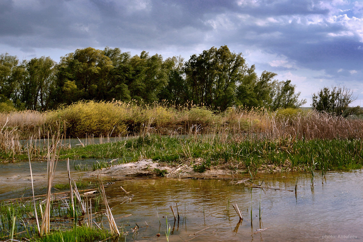 тот берег - Илья Антюфеев